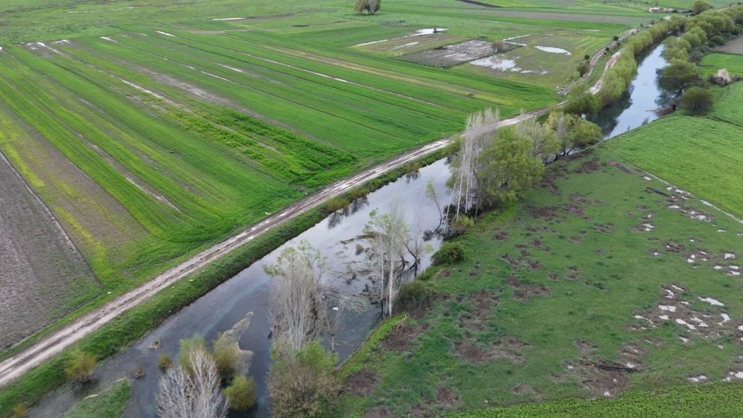 Konya'da masaldan çıkma, tablo gibi güzellik! Leylekler burada mola veriyor 6